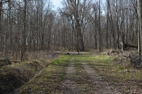 Property photo 110 - REAL ESTATE & PERSONAL PROPERTY AUCTION, 140 Acres offered in 8 Tracts or Combinations in Steuben County
